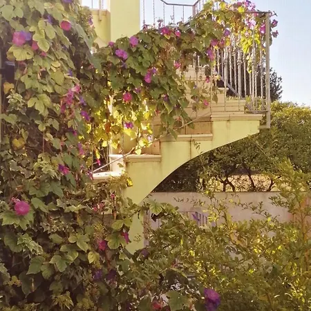 Domus Rose בית נופש