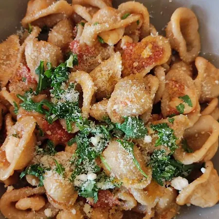 Domus Rose בית נופש אלציו