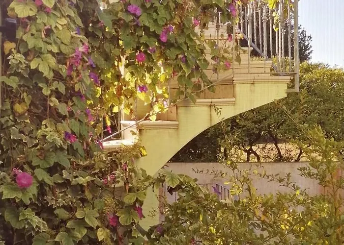 Domus Rose 度假居