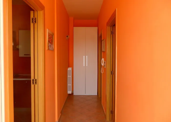 Domus Rose 奥利吉欧